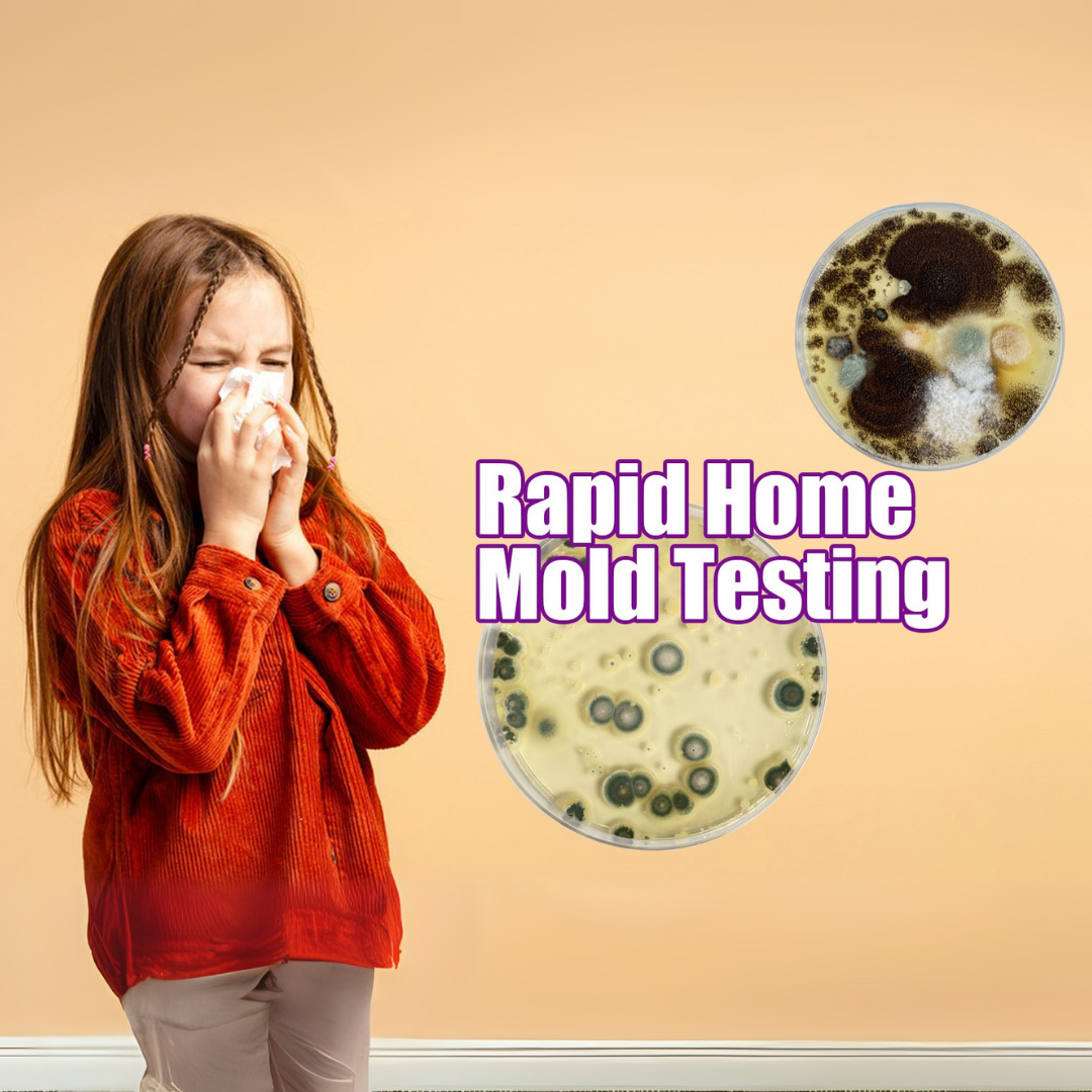 Patented Mold Test Kit By HomeGuard