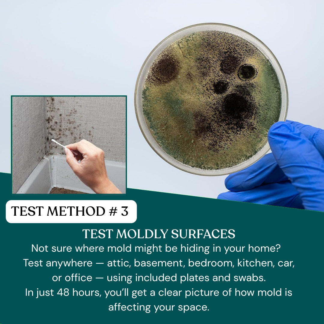 Patented Mold Test Kit By HomeGuard