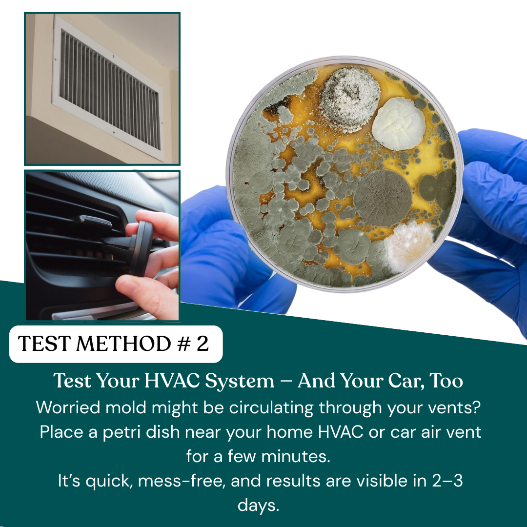 Patented Mold Test Kit By HomeGuard