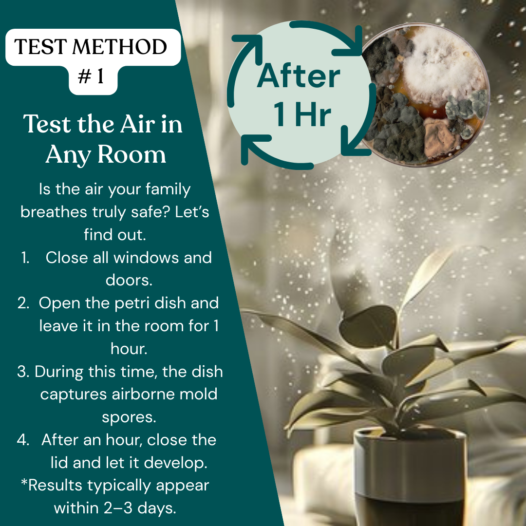 Patented Mold Test Kit By HomeGuard