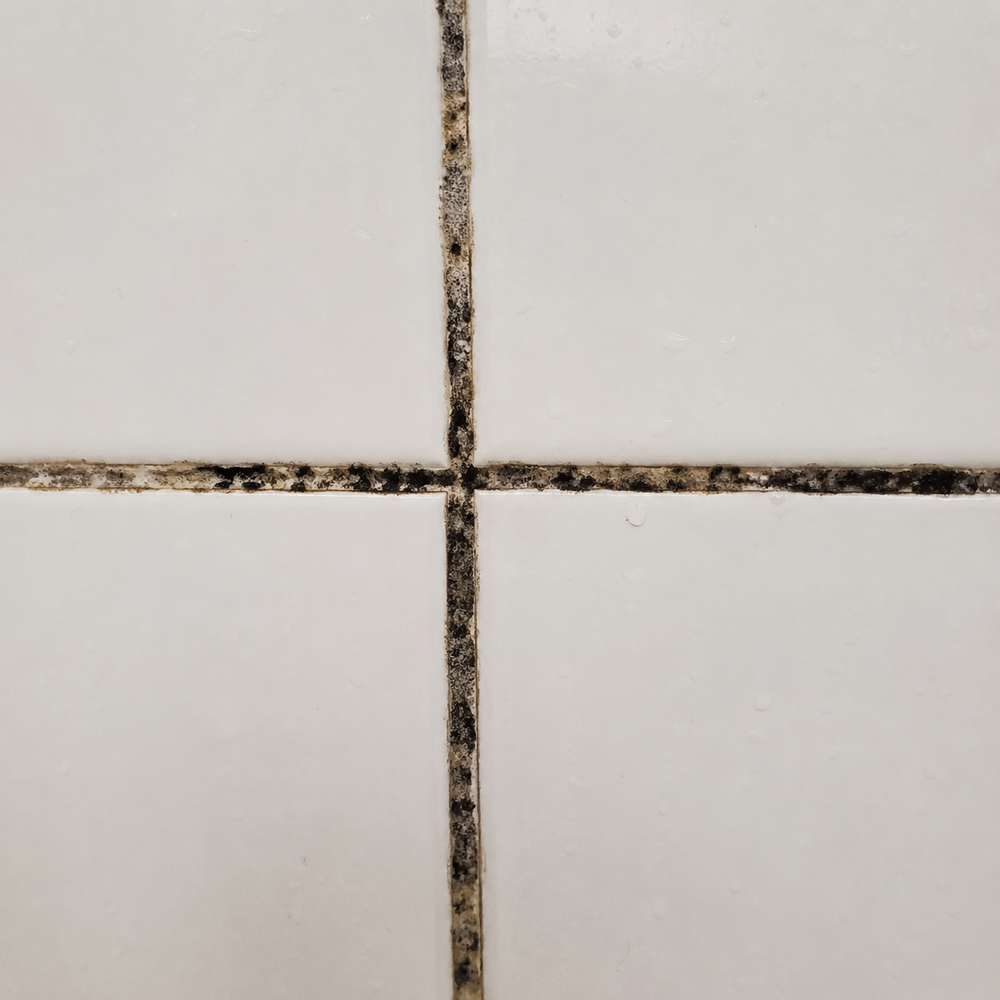 Caulk + Sealant