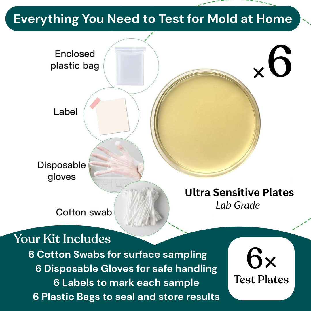 Patented Mold Test Kit By HomeGuard