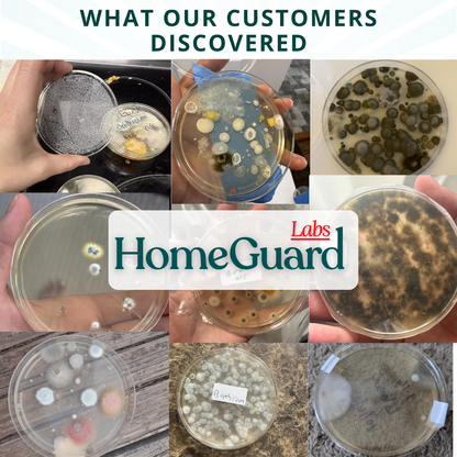 Patented Mold Test Kit By HomeGuard