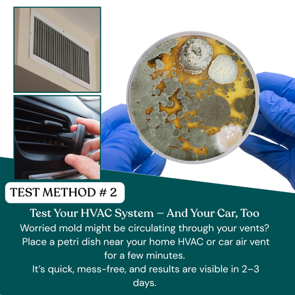 Patented Mold Test Kit By HomeGuard