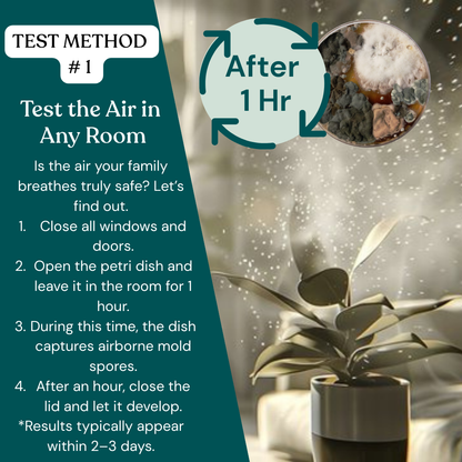 Patented Mold Test Kit By HomeGuard