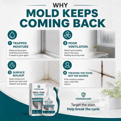 HomeGuard Mold + Stain Cleaner