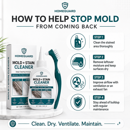 HomeGuard Mold + Stain Cleaner